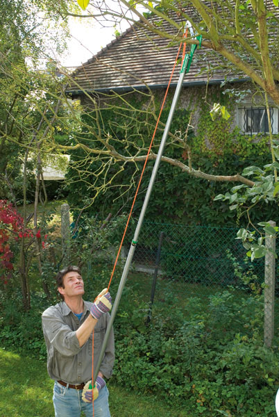 Echenilloir sur perche télescopique