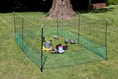 Clôtures pour poules, Filet à poules