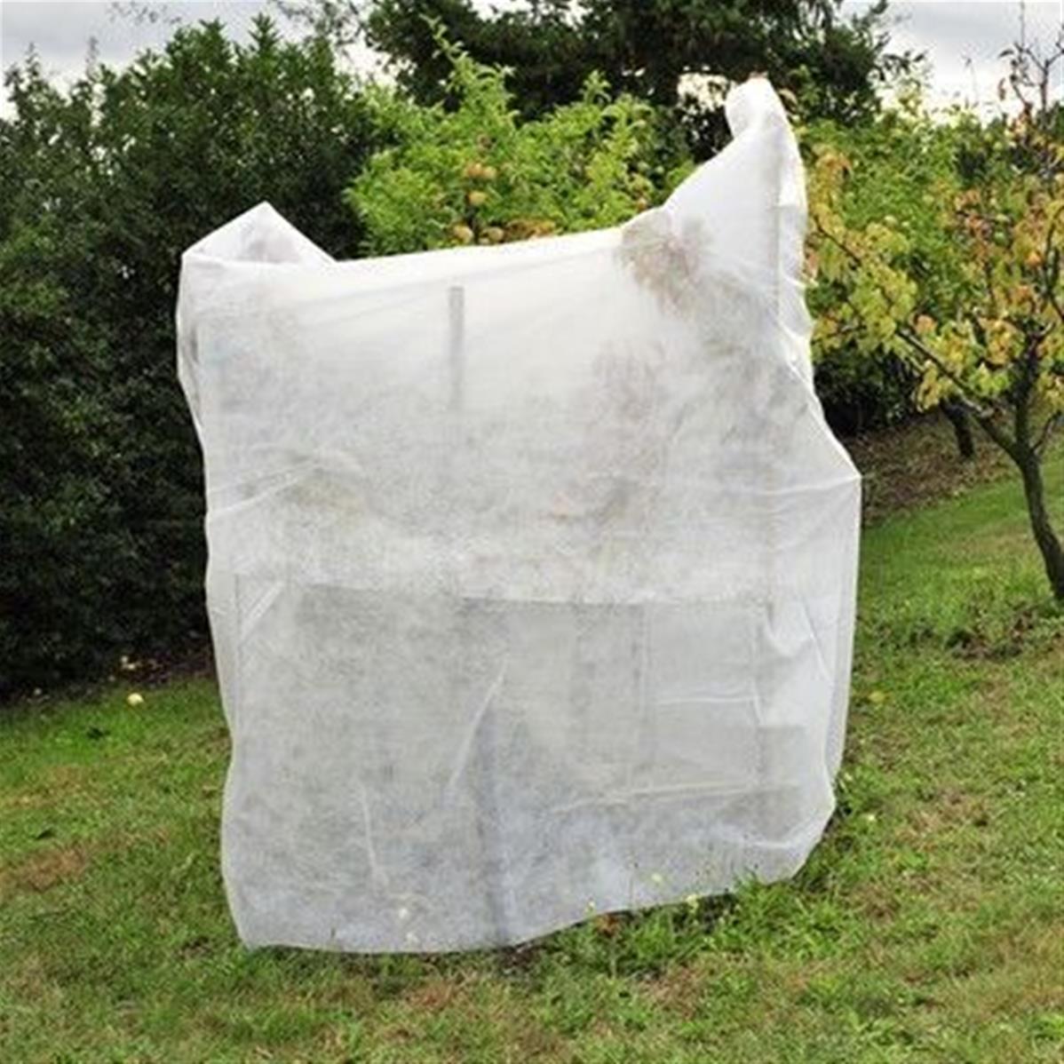 Voile d'hivernage plante palmier 150 x 500 cm 30g