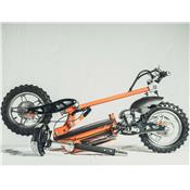 Trottinette électrique tout terrain Viron 1000W orange