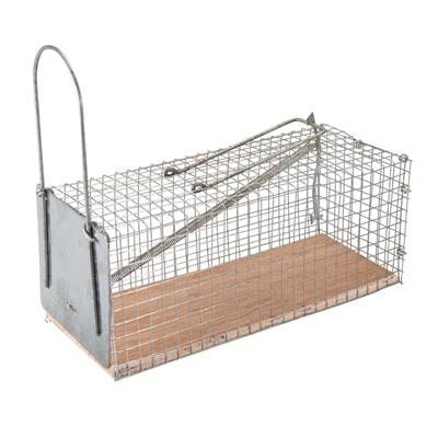 Piège nasse à souris