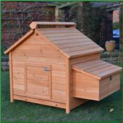 Poulailler bois 4 poules Chocopoulette XXL