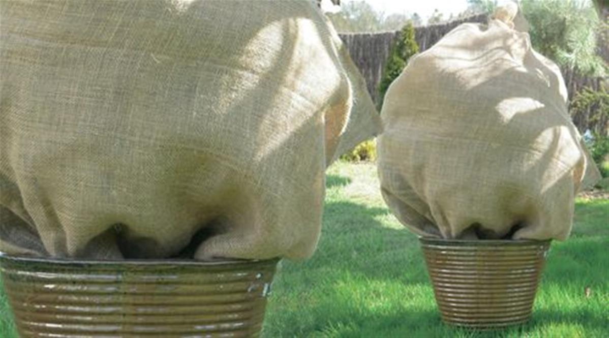 housse d'hivernage pour plantes en toile de jute