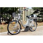 Vélo à assistance électrique 36V dérailleur Shimano Viron Motors Gris