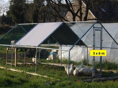 Parc grillag tubes 38 mm 3x6m pour poules